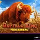 Buffalo King Megaways