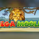 Mega Moolah