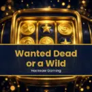 Wanted Dead or a Wild