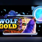 Wolf Gold